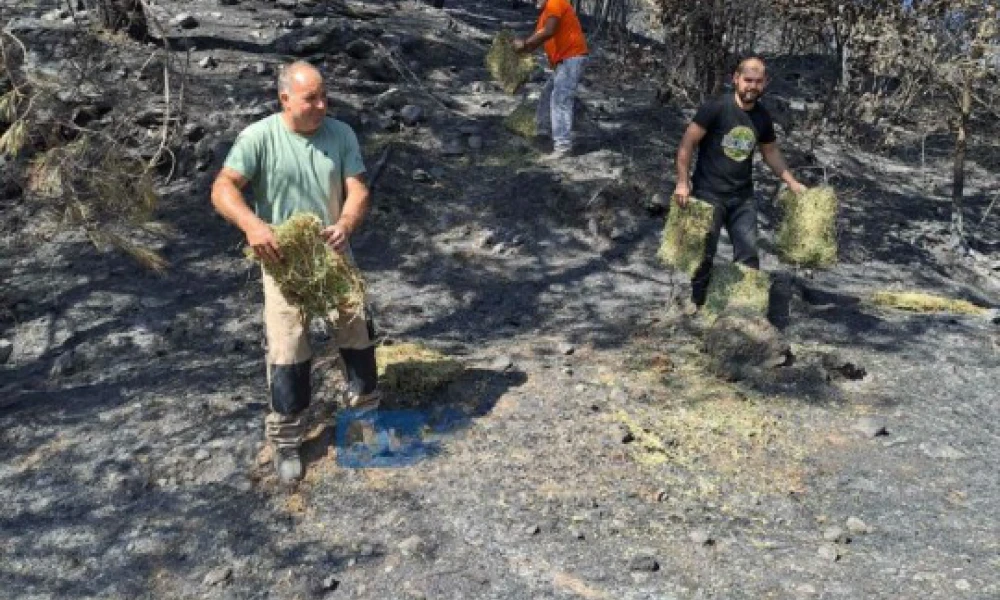 Φωτιά στον Έβρο: Τροφή και νερό στα αποκαΐδια από αγρότες των Φερών και στελέχη του Στρατού Ξηράς